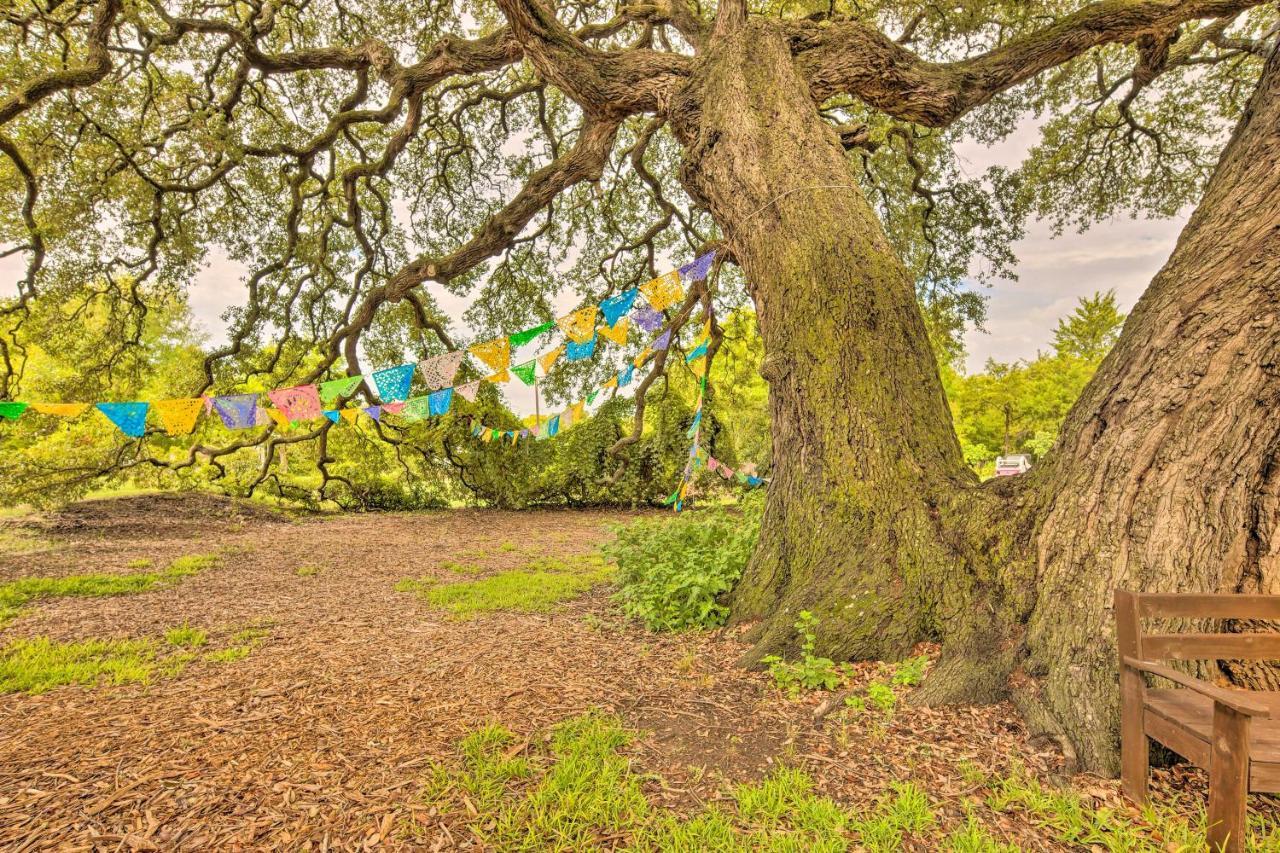 The Gathering Place Brenham Home On 6 Acres エクステリア 写真